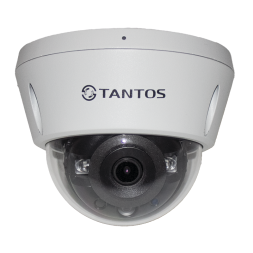 Купольная IP-камера Tantos TSi-Veco45FP