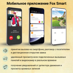 Беспроводной WiFi IP домофон с замком на калитку Fox FX-ICP334RB