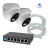 Комплект из 2 купольных камер IP-видеонаблюдения 2 Мп для ПВЗ / PoE / IPEYE